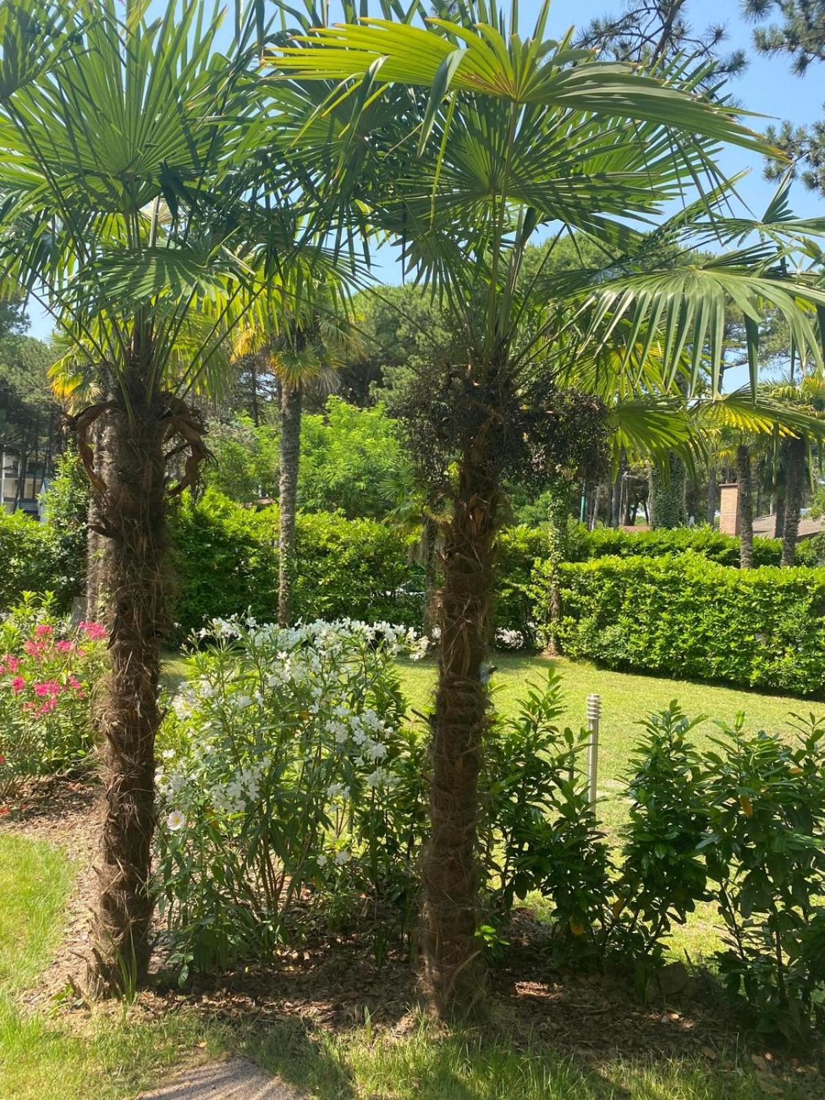Villa Soraya